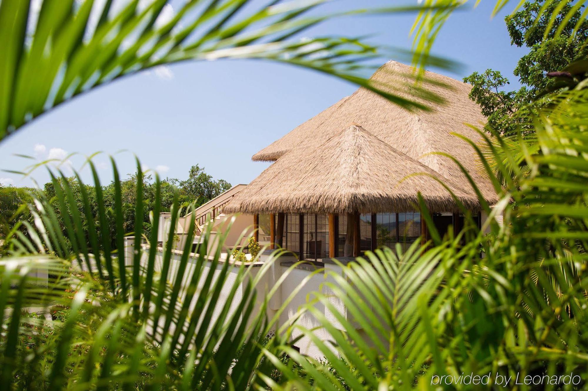 Paradise Beach Nevis Luaran gambar